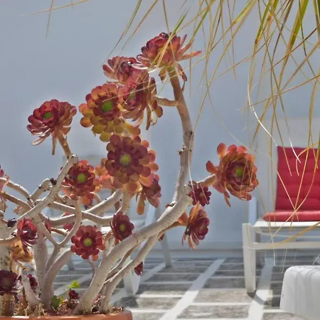 Casa Camillo Querno Holiday home *